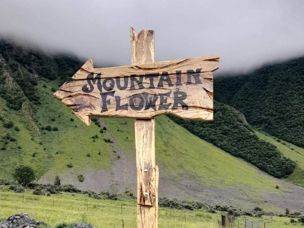 Mountain Flower Cottage 카즈베기 외부 사진